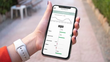 here is an example of executive mobile reports being used